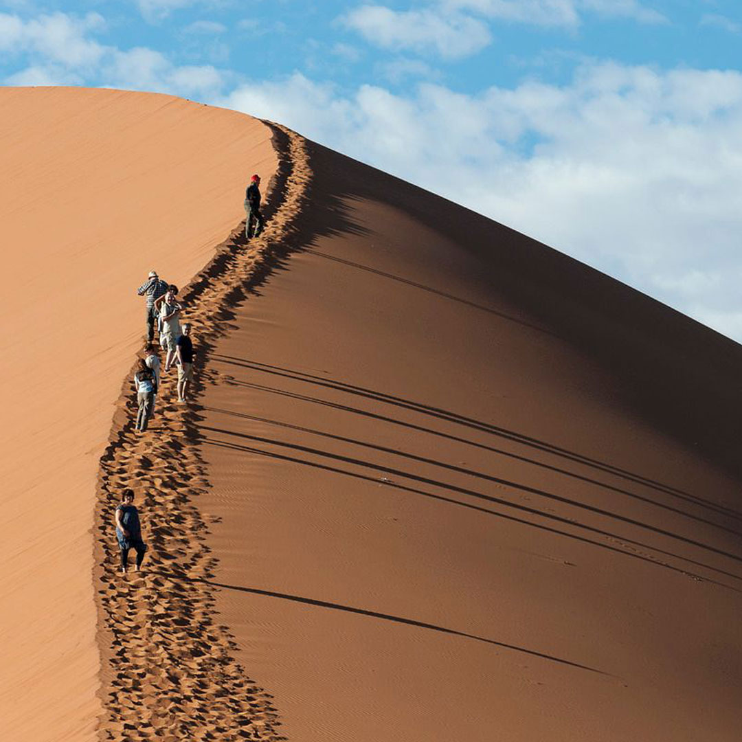 Safari_Namibia_5